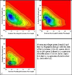 fluorescence spectra of Anthrax simulants in different states
